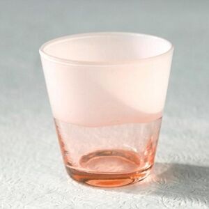 Terrain Rose pink Tumblers glasses Pair Of 2